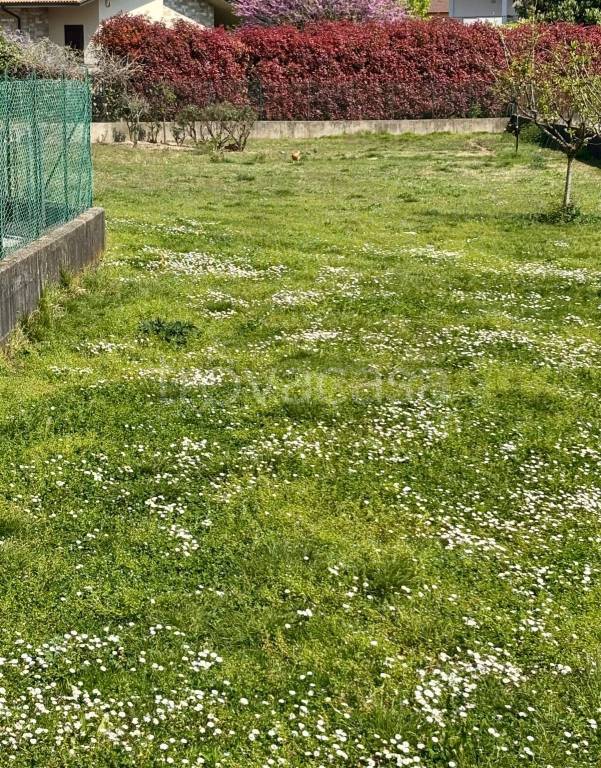 immagine annuncio 2 di 6