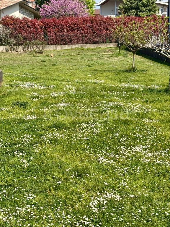 immagine annuncio 3 di 6