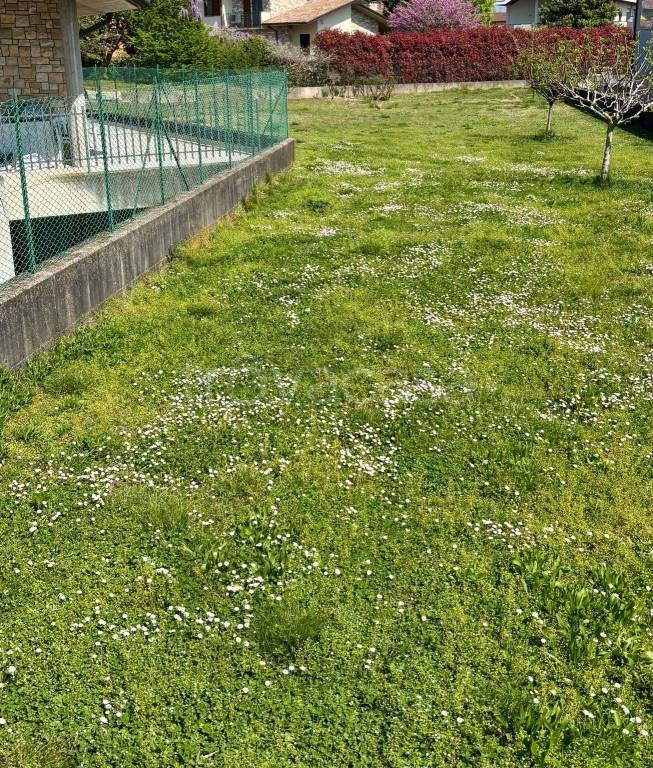 immagine annuncio 4 di 6