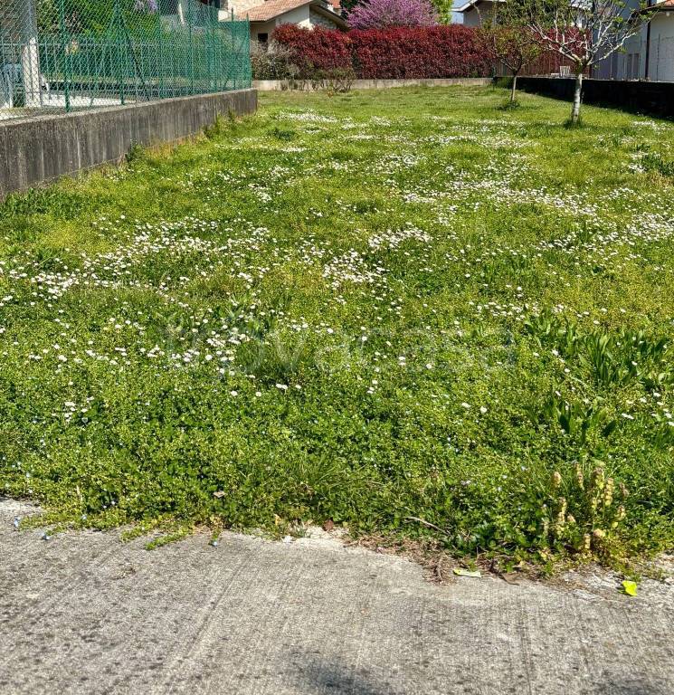 immagine annuncio 5 di 6