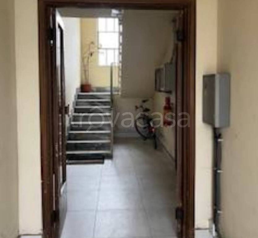 immagine annuncio 5 di 14