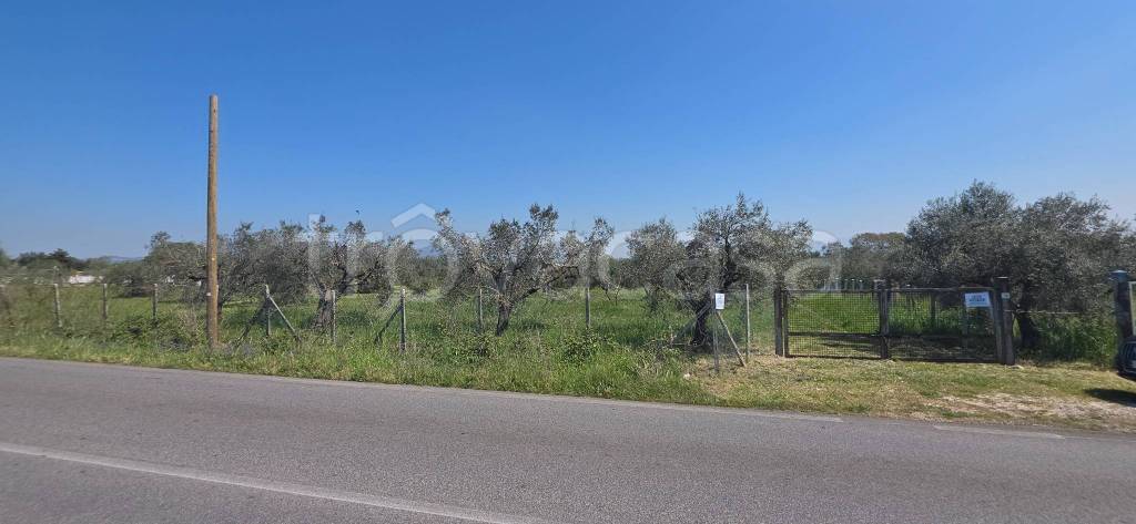 immagine annuncio 2 di 14