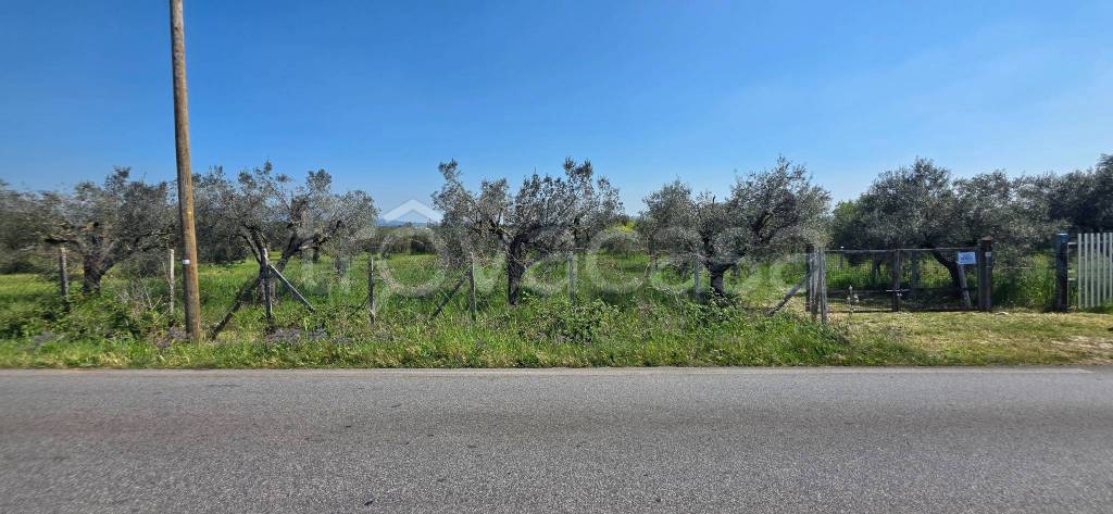 immagine annuncio 6 di 14