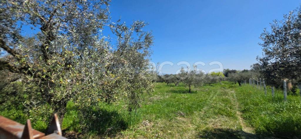 immagine annuncio 8 di 14