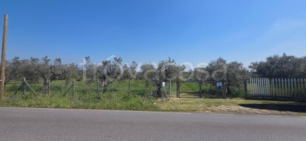 immagine annuncio 12 di 14