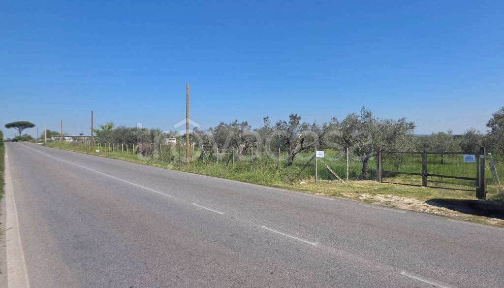 immagine annuncio 13 di 14