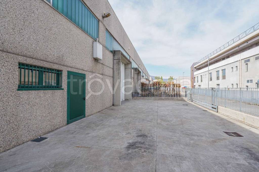 immagine annuncio 2 di 15