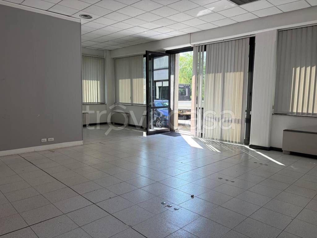 immagine annuncio 1 di 7