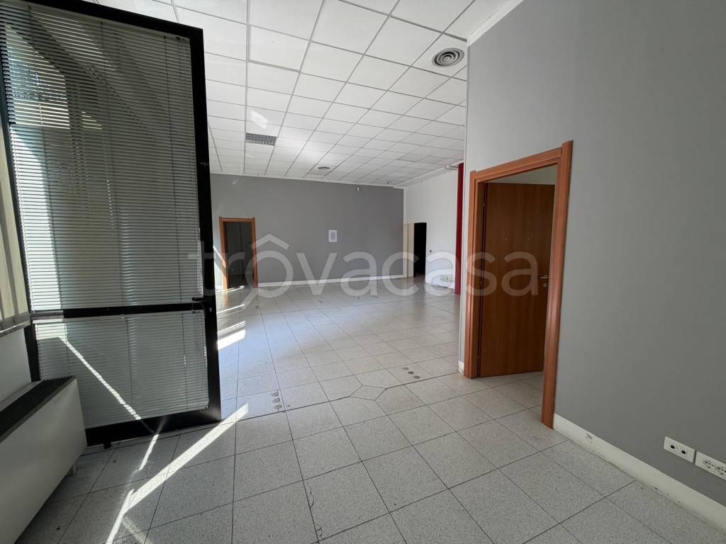 immagine annuncio 4 di 7