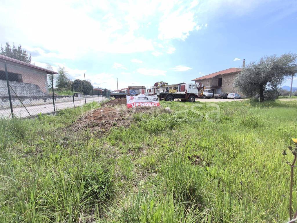 immagine annuncio 6 di 7