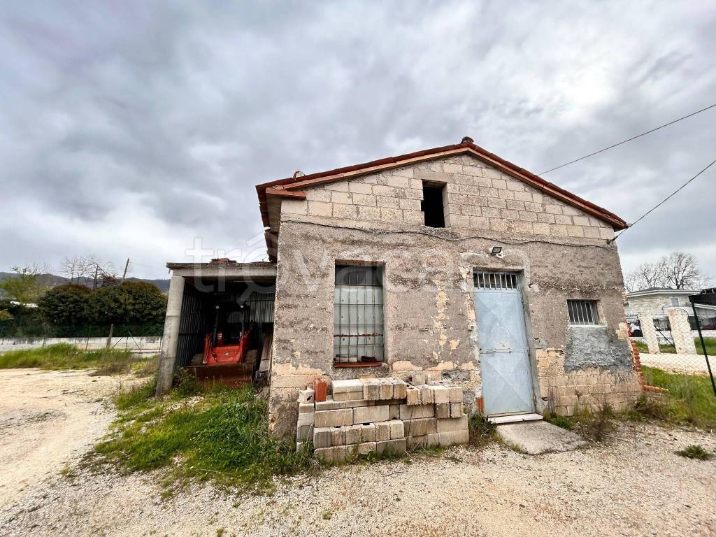 immagine annuncio 5 di 7