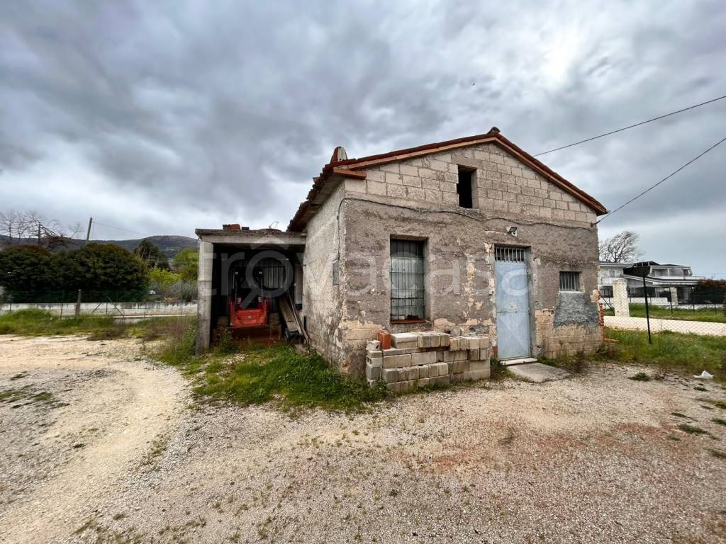 immagine annuncio 1 di 7