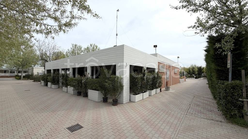 immagine annuncio 3 di 8