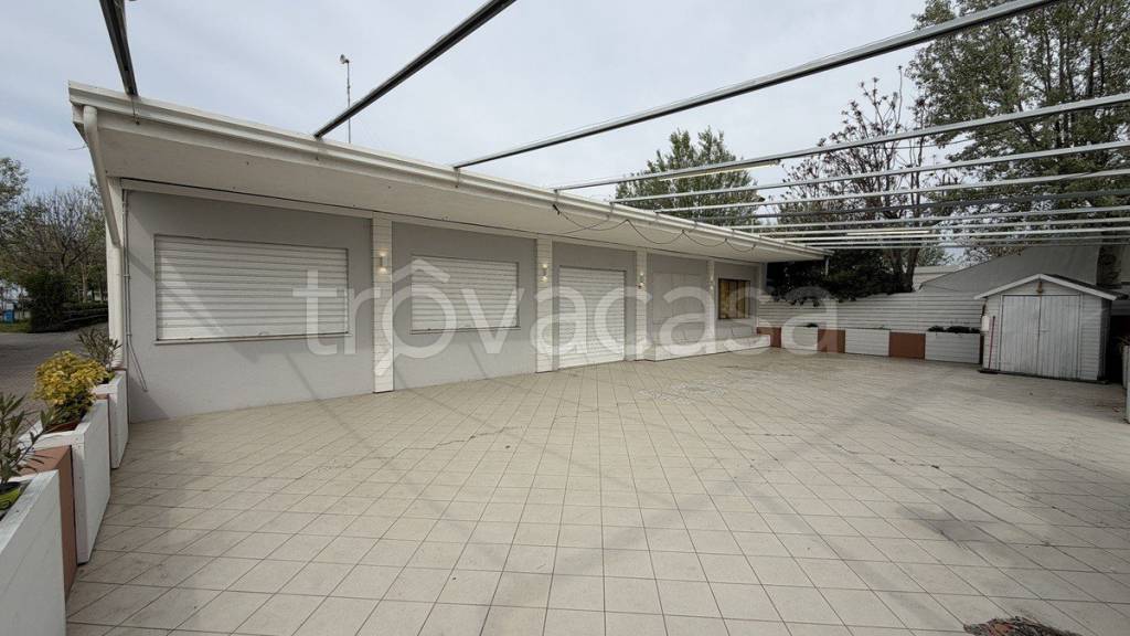 immagine annuncio 5 di 8