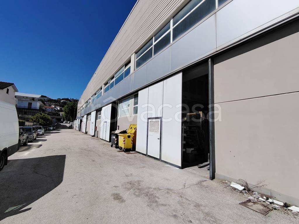 immagine annuncio 1 di 8