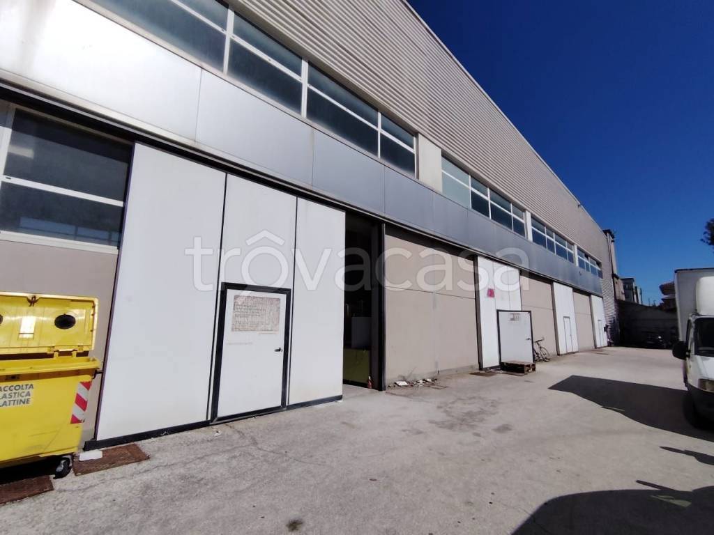 immagine annuncio 2 di 8