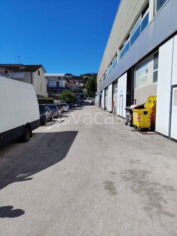 immagine annuncio 3 di 8