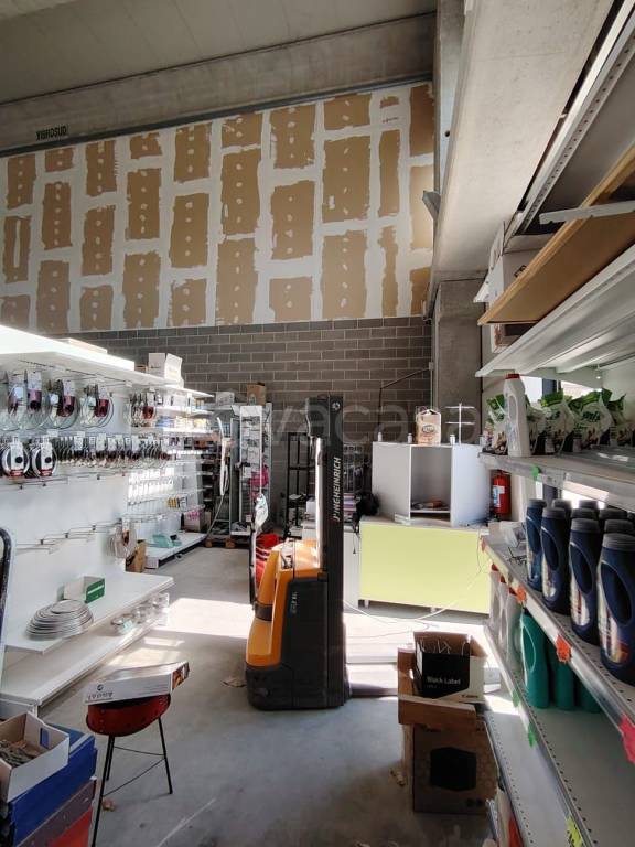 immagine annuncio 4 di 8