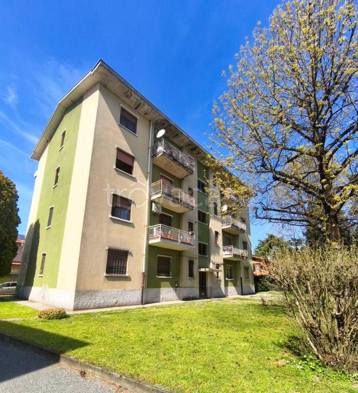 immagine annuncio 1 di 13