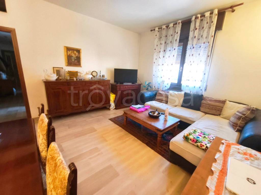 immagine annuncio 3 di 13