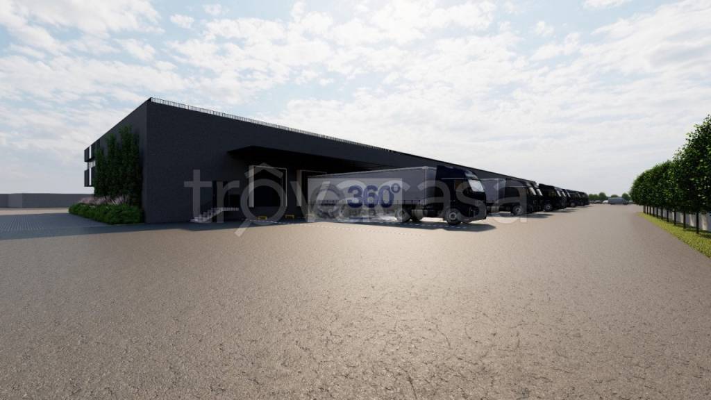 immagine annuncio 7 di 8