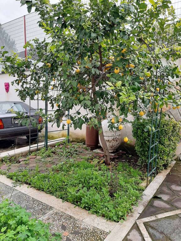 immagine annuncio 8 di 9