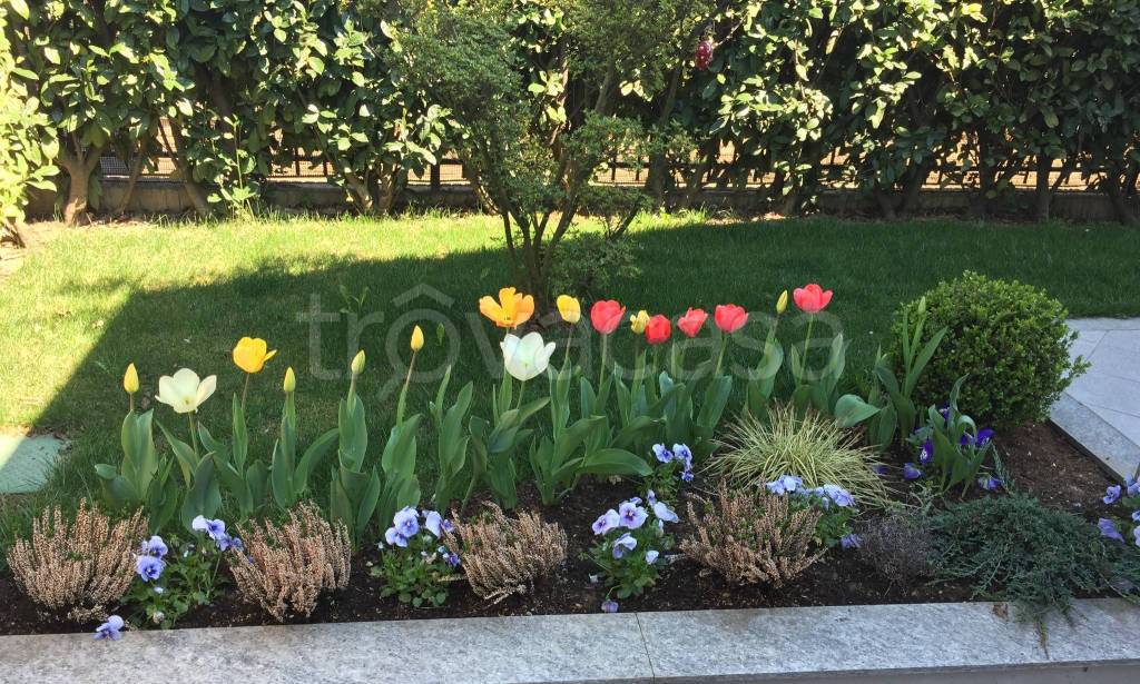 immagine annuncio 9 di 13