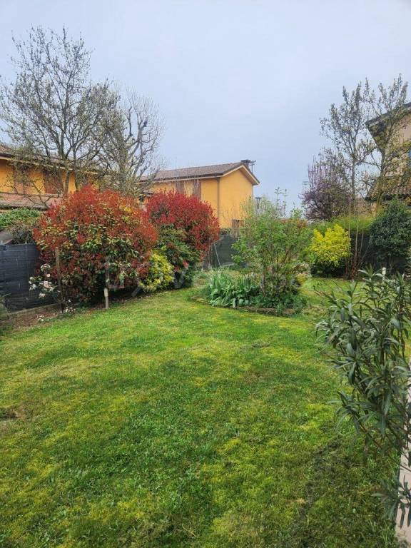 immagine annuncio 1 di 13