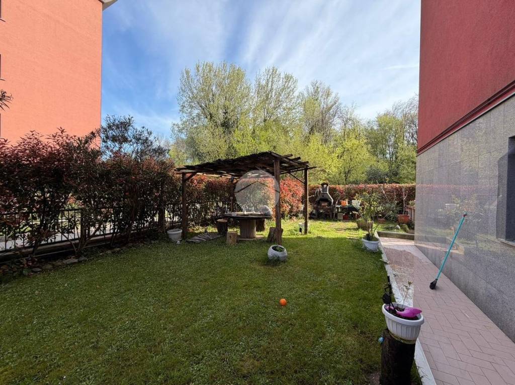 immagine annuncio 6 di 15