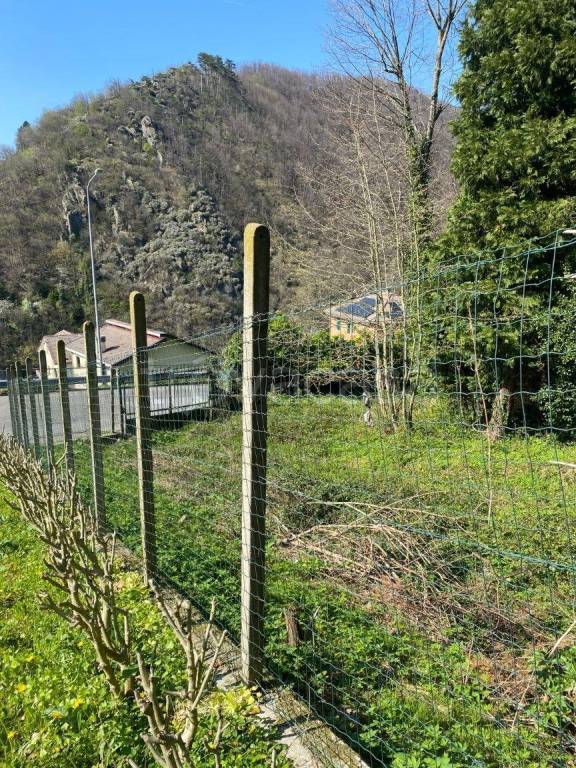 immagine annuncio 5 di 12