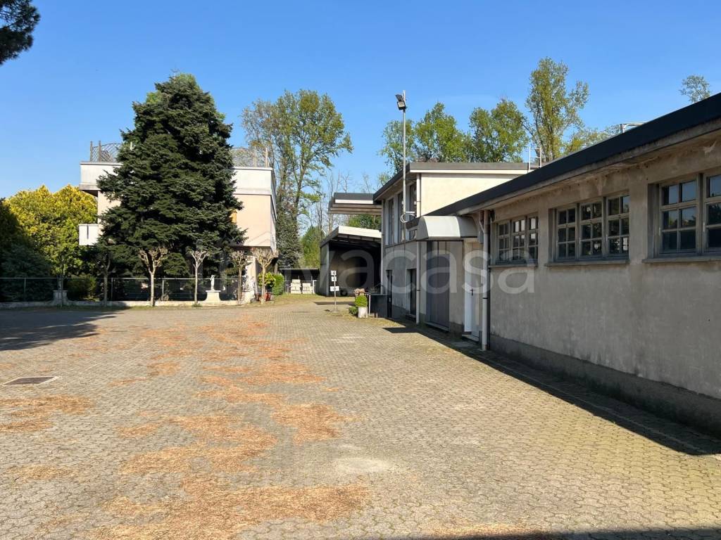 immagine annuncio 2 di 7