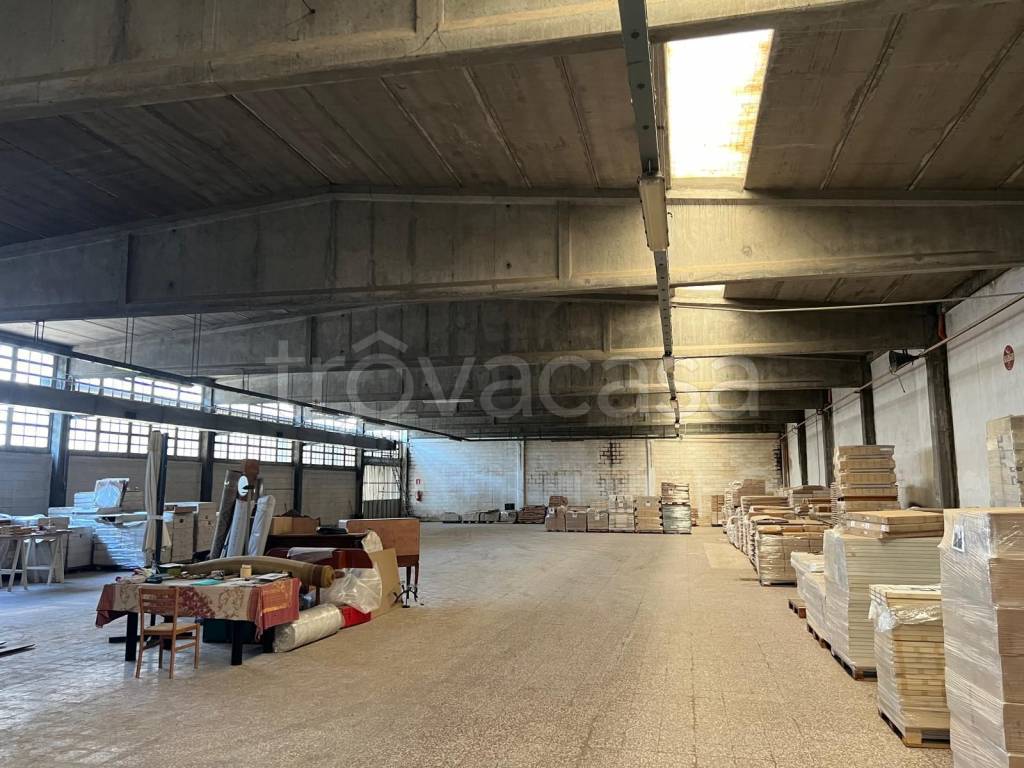 immagine annuncio 4 di 7