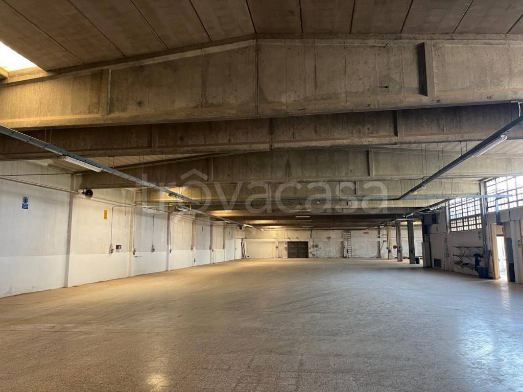 immagine annuncio 5 di 7