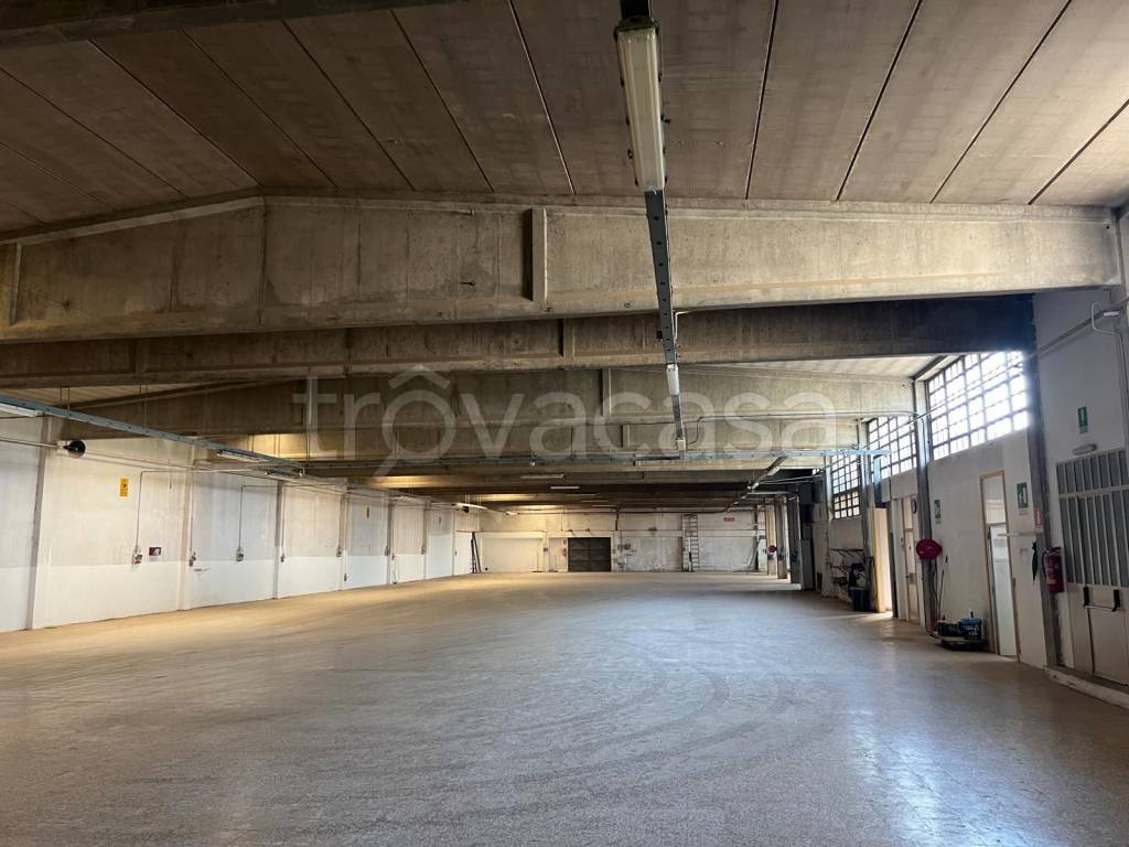 immagine annuncio 6 di 7