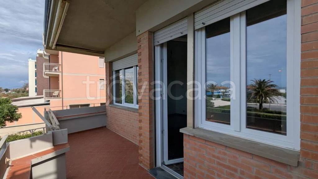 immagine annuncio 2 di 8