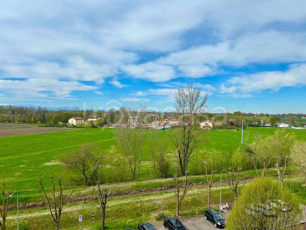 immagine annuncio 6 di 13