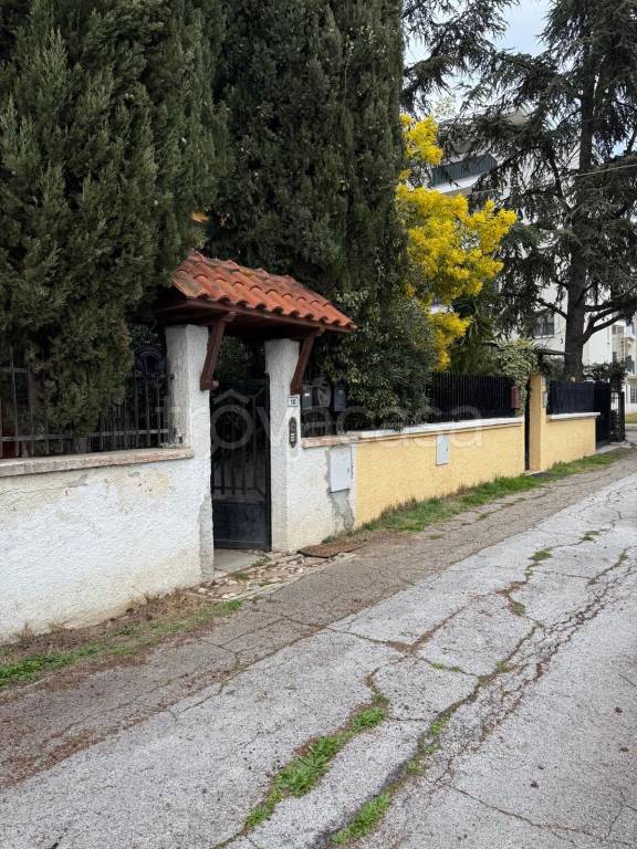 immagine annuncio 2 di 13