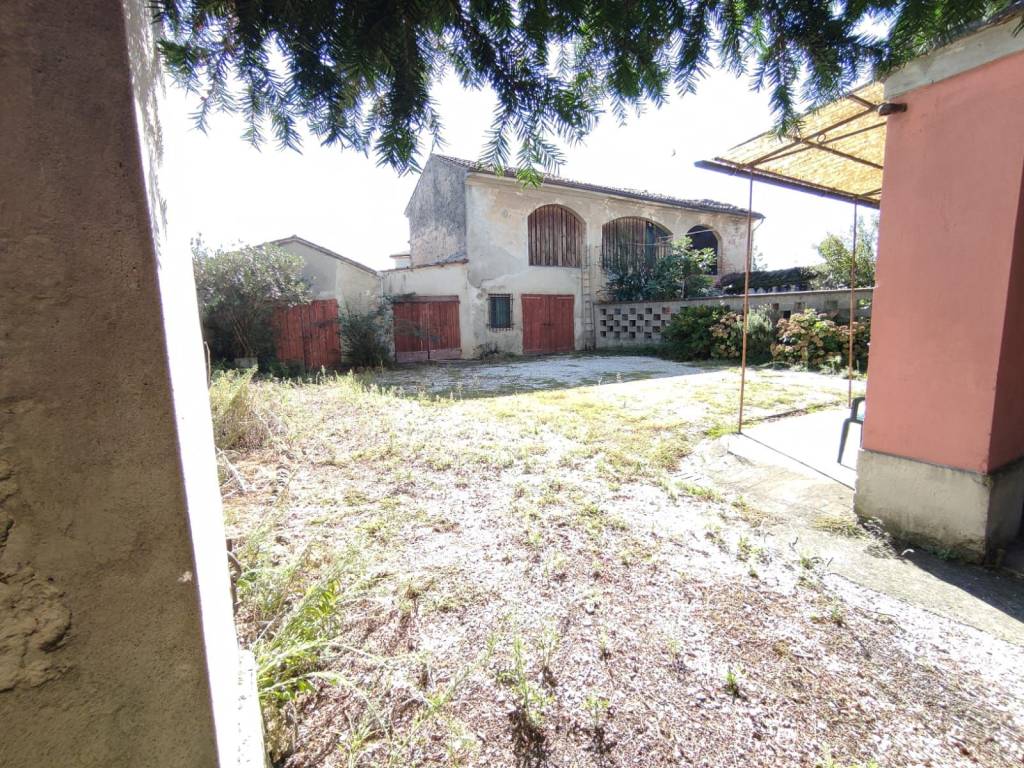 immagine annuncio 12 di 14