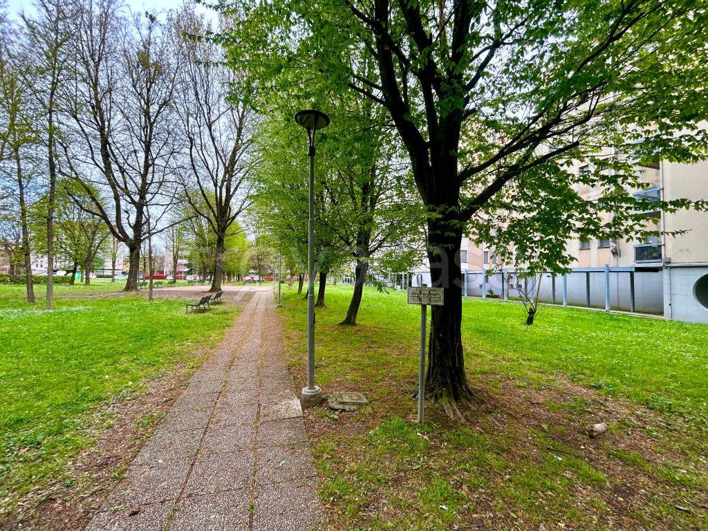 immagine annuncio 12 di 13