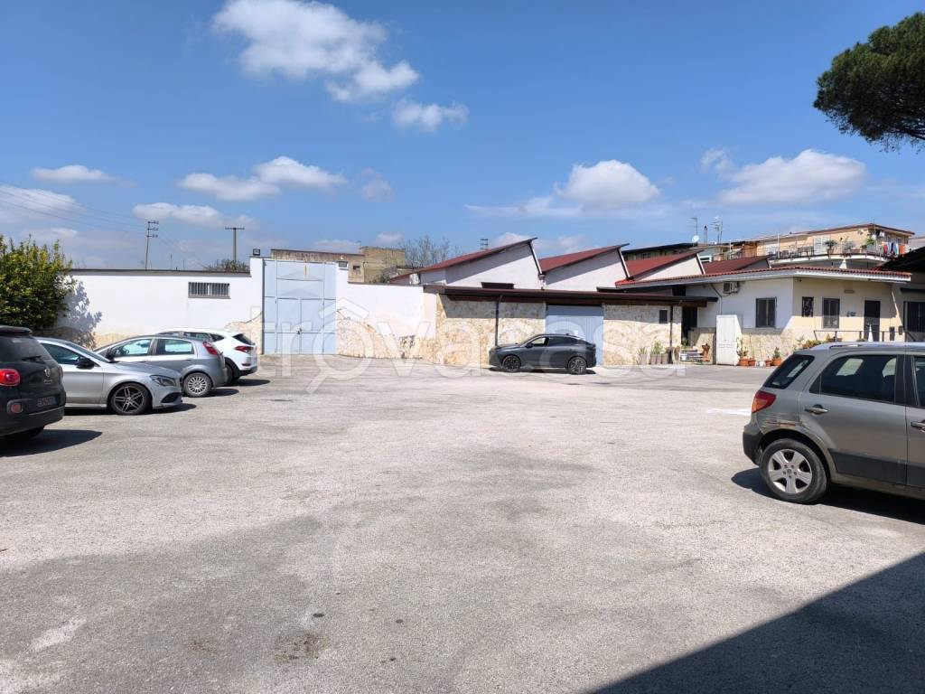 immagine annuncio 5 di 6