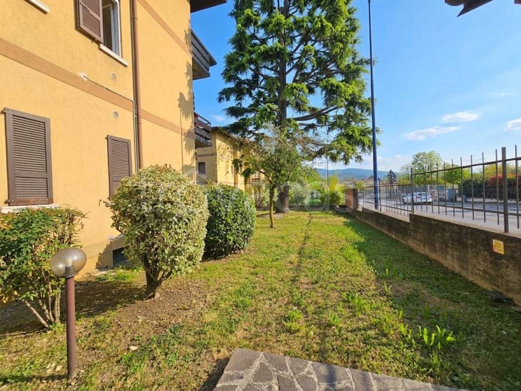 immagine annuncio 12 di 13