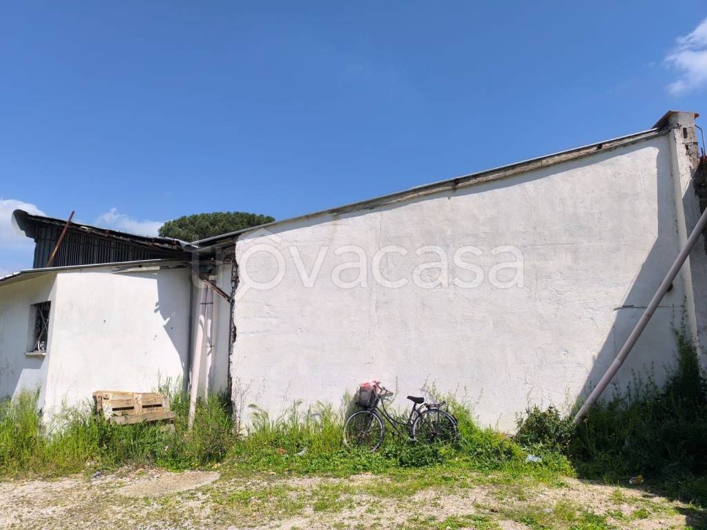 immagine annuncio 4 di 6