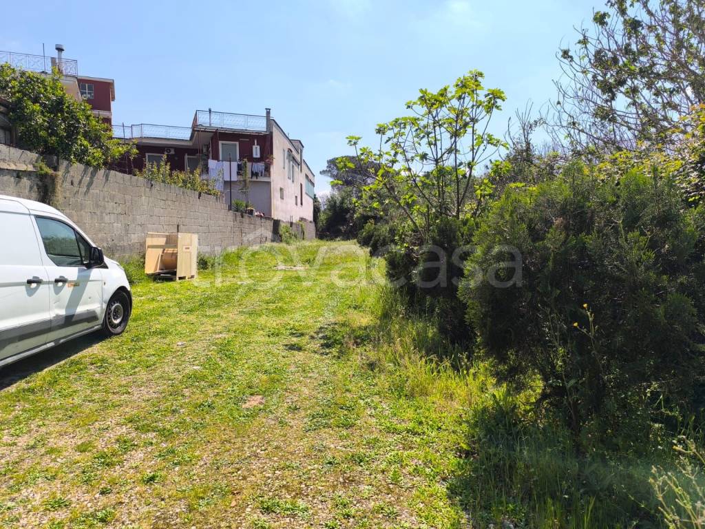 immagine annuncio 3 di 6