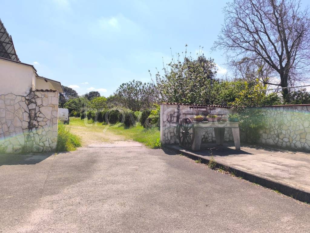 immagine annuncio 2 di 6