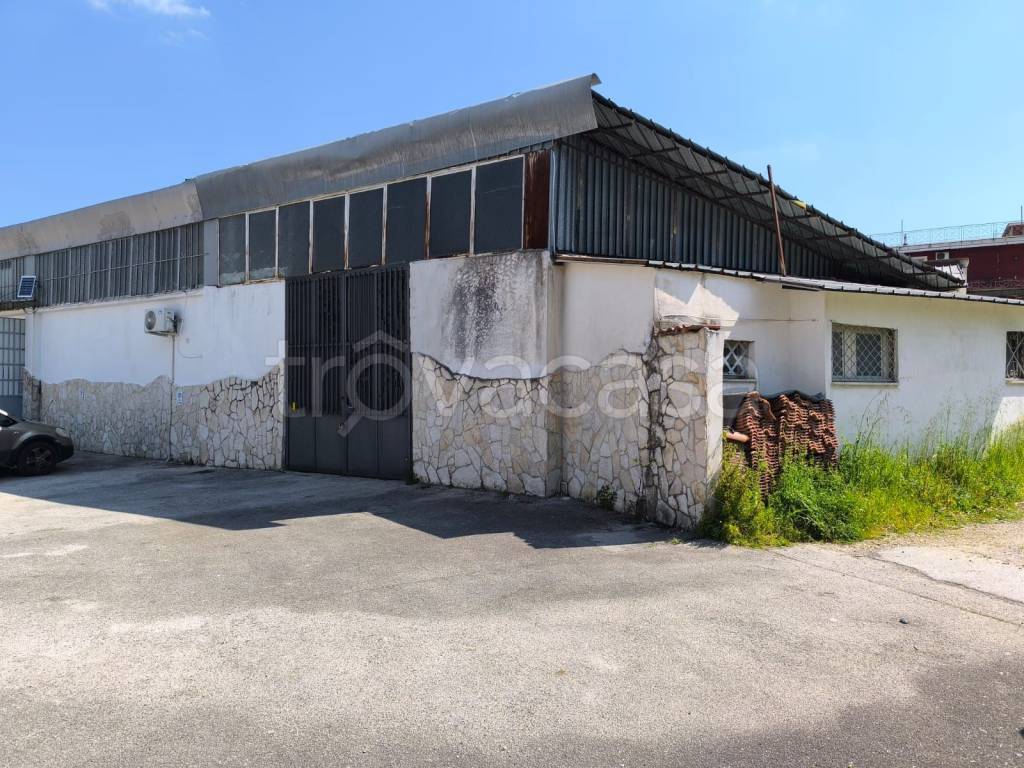 immagine annuncio 1 di 6