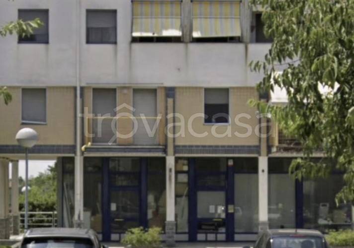 immagine annuncio 1 di 8