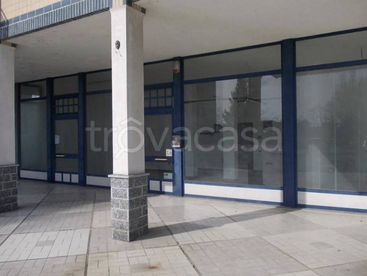 immagine annuncio 2 di 8