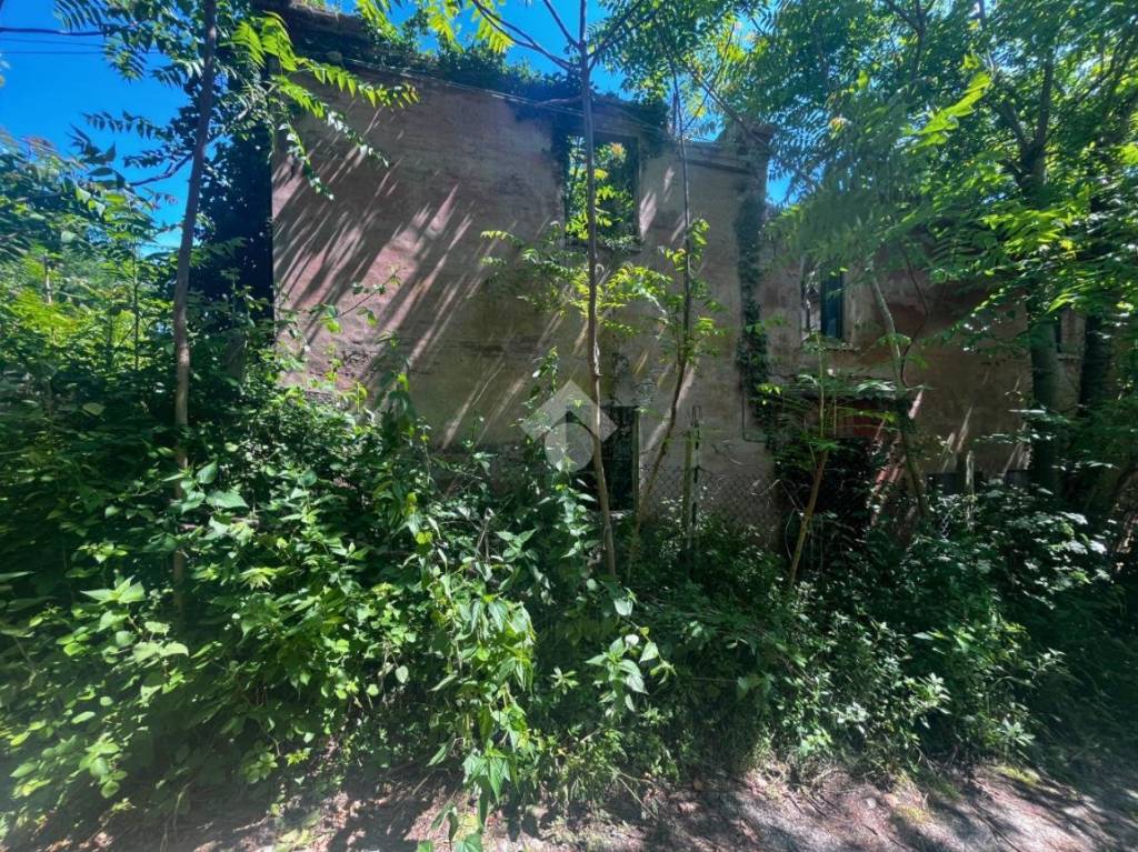 immagine annuncio 2 di 12