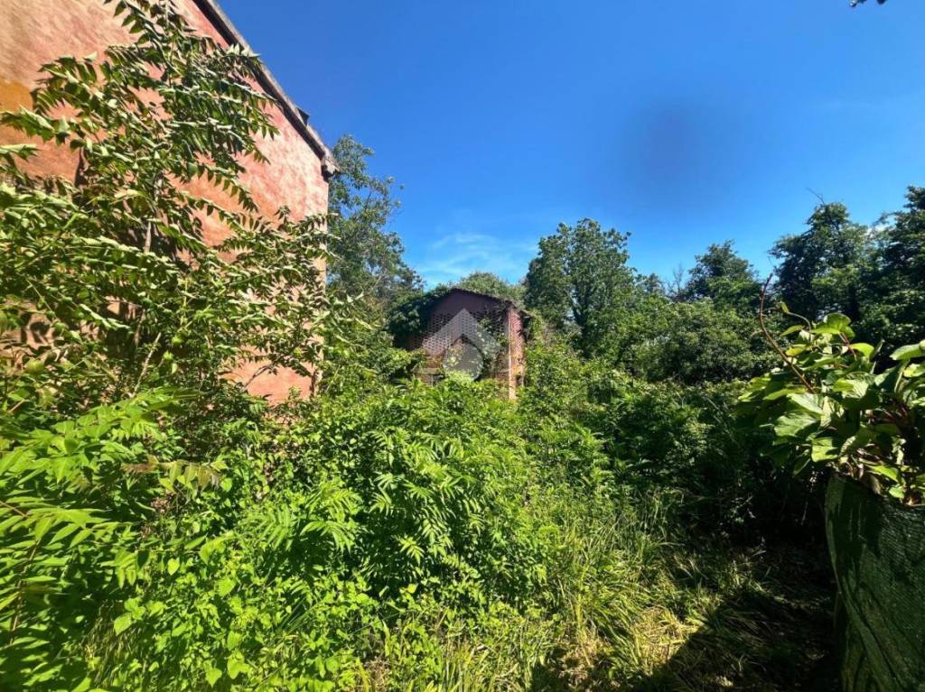 immagine annuncio 3 di 12