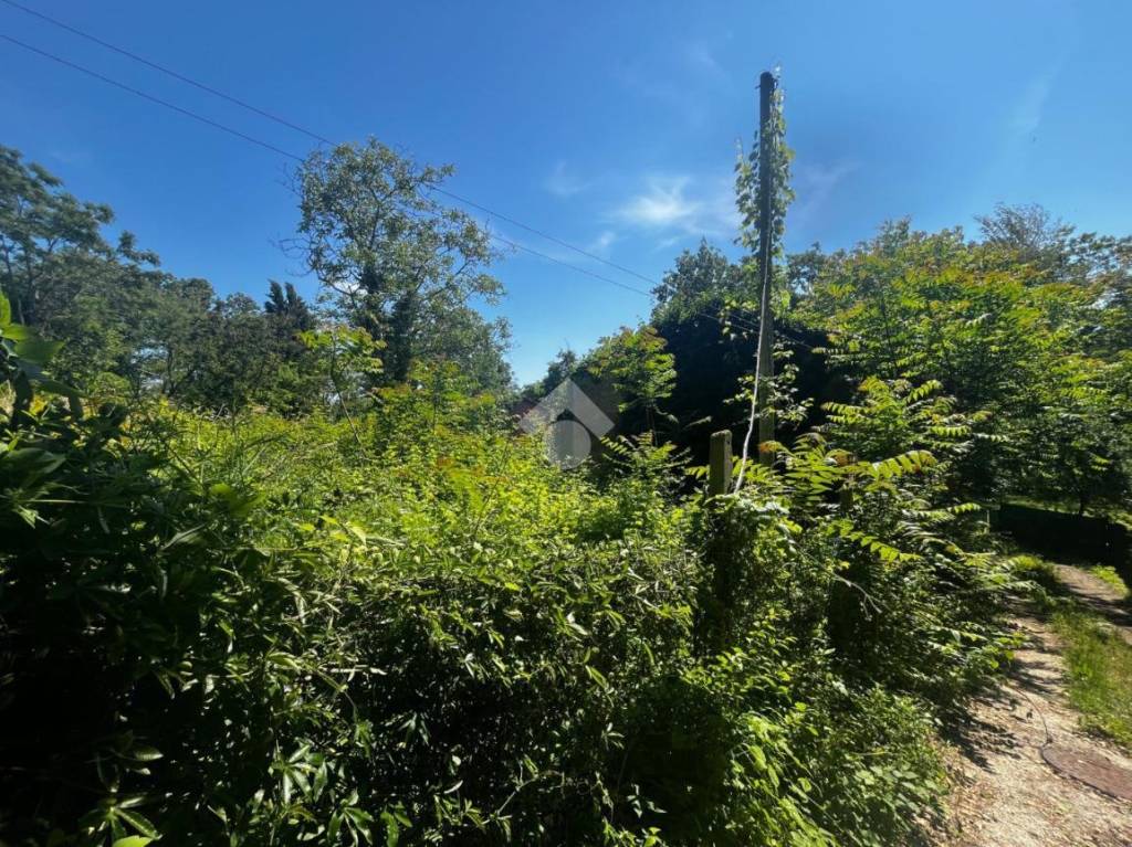 immagine annuncio 4 di 12